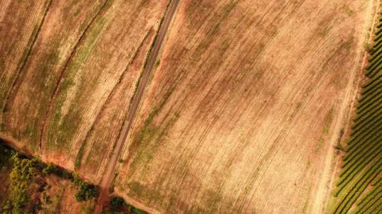 Foto de FAZENDA MANACÁ II - PATROCINIO PAULISTA/SP