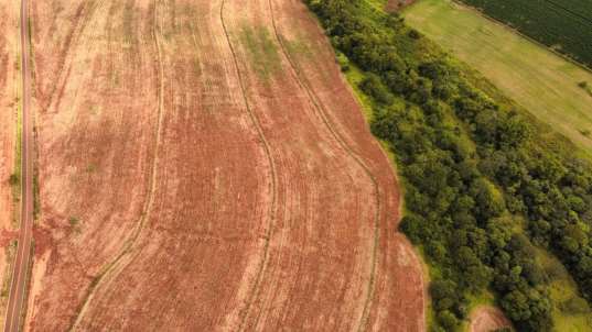 Foto de FAZENDA MANACÁ II - PATROCINIO PAULISTA/SP