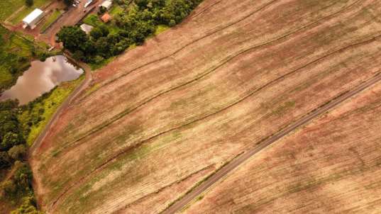 Foto de FAZENDA MANACÁ II - PATROCINIO PAULISTA/SP