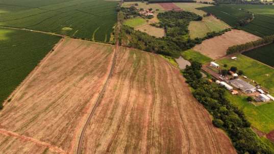 Foto de FAZENDA MANACÁ II - PATROCINIO PAULISTA/SP