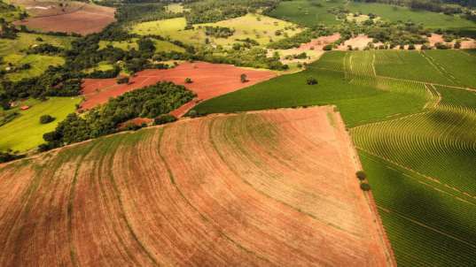 Foto de FAZENDA MANACÁ II - PATROCINIO PAULISTA/SP