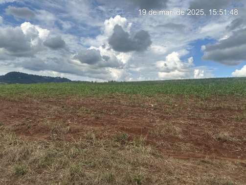 Foto de FAZENDA MANACÁ II - PATROCINIO PAULISTA/SP
