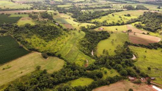Foto de FAZENDA MANACÁ II - PATROCINIO PAULISTA/SP